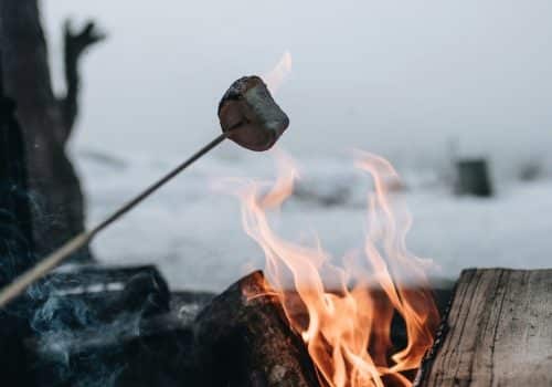 Winter barbecue toasting marshmallows